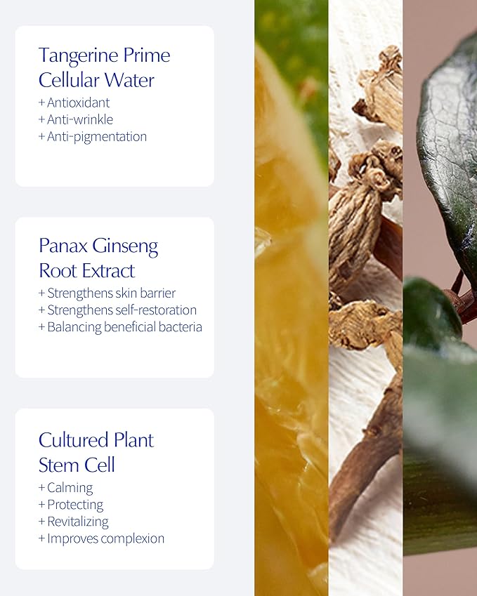 LBB Cellular Intensive Care In Cream - Vegan Antioxidant Face Moisturizer for Balanced and Youthful Skin - Improves Wrinkles, Elasticity - Tangerine Cellular Water, Plant Cell Extracts, 1.69 oz.