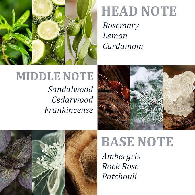 Tgideas Organic Biotin & Rosemary Hair Growth Shampoo – Thickening Shampoo with Amino Acids for Hair Loss, Dandruff Control & Oily Scalp - for Women & Men