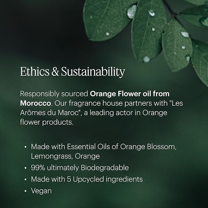 Aera Spa La La Home Fragrance Scent Refill - Notes of Peppermint and Rosemary - Works with The Aera Diffuser