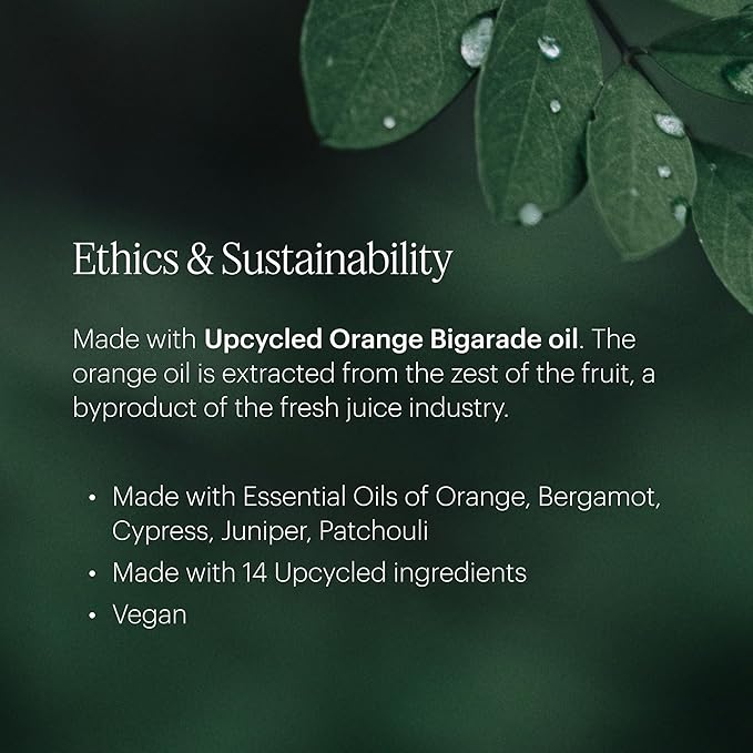 Aera Pacific Surf - Essential Oil for Home – Invigorating Ocean Fragrance - Notes of Marine and Cedarwood - Scent Refill - Works with The Aera Diffuser