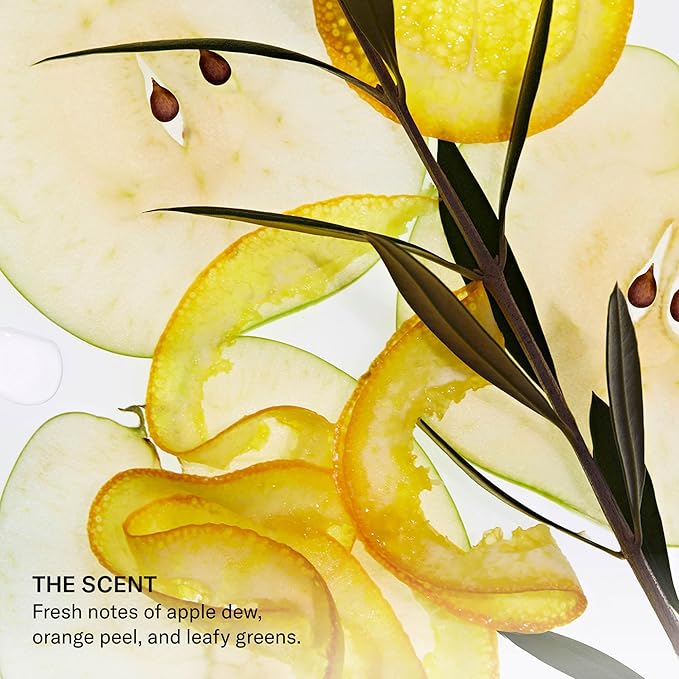 SEEN Conditioner - Scented - Non-Comedogenic & Sulfate-Free Hair Conditioner- Dermatologist-Developed -Safe for Sensitive & Acne Prone Skin