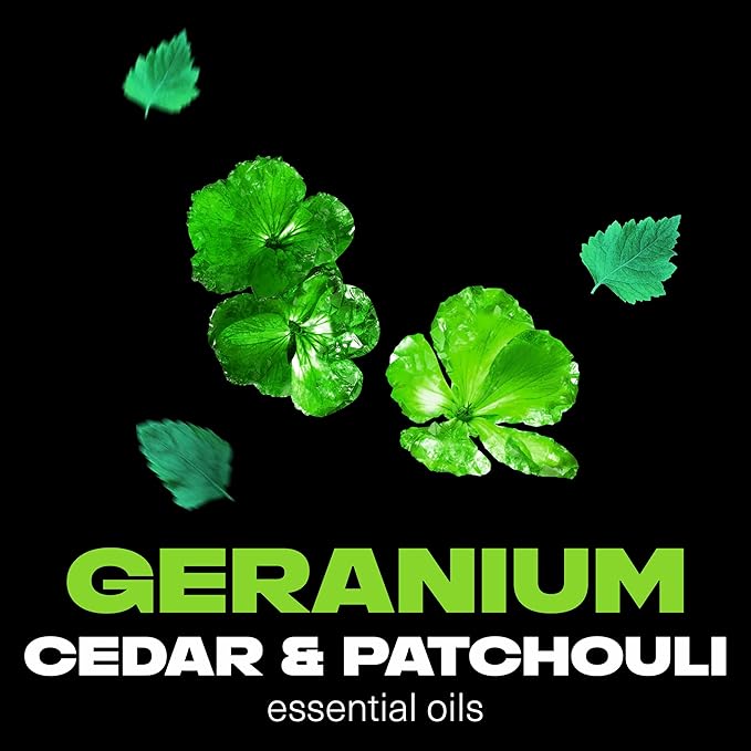 AXE Fine Fragrance Body Spray Variety Pack 4 Pack Everyday Essentials - Emerald Sage, Aqua Bergamot, Purple Patchouli, Pure Coconut Aluminum Free 4 oz