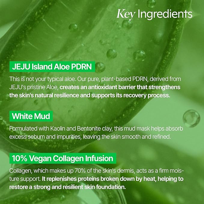 ALOE PDRN Cooling Mud Face Mask, Vegan Collagen Cream Clay Mask with Kaolin & Bentonite, Hydrating & Pore Care, Instant Cooling, Korean Skincare, 3.38 Fl Oz