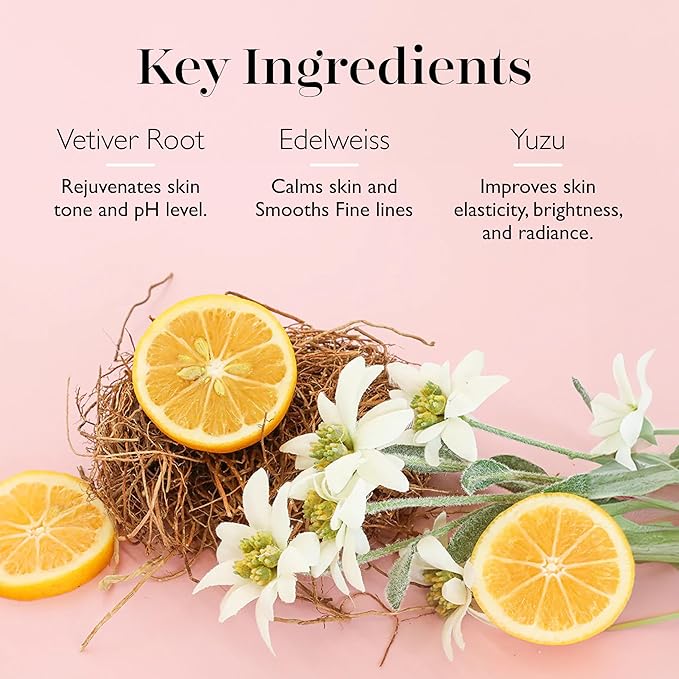 Spongellé Gingerbread Gift Set Body Wash Infused Buffers, Sugar & Spice