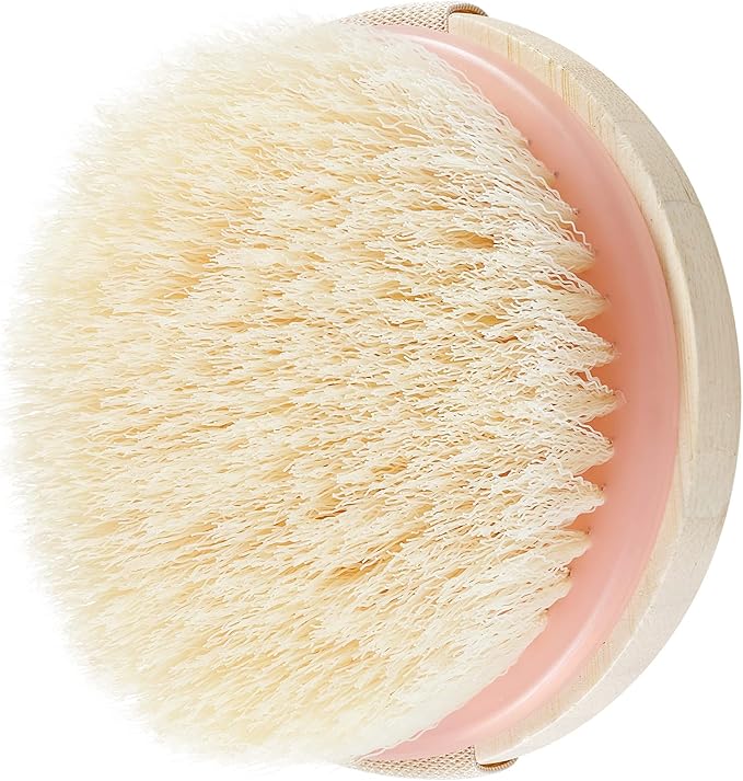 EcoTools Dry Body Brush, for Post Shower & Bath Skincare Routine, Removes Dirt & Promotes Blood Circulation, Helps Reduce Appearance of Cellulite, Eco-Friendly, Vegan & Cruelty-Free, 1 Count