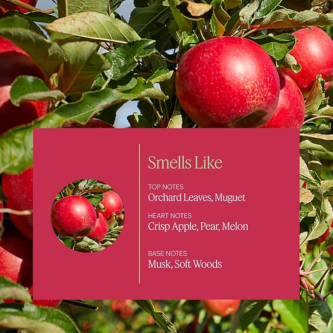 Aera Apple Orchard - Essential Oil for Home - Fruity Crisp Fragrance - Notes of Macintosh Apple and Orchard Leaves - Scent Refill - Works with The Aera Diffuser
