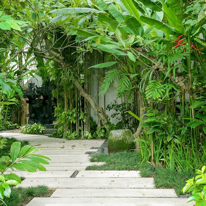 Aera Bamboo Jardin - Essential Oil for Home - Garden Fragrance - Notes of Lush Greens and Citrus - Scent Refill - Works with The Aera Diffuser