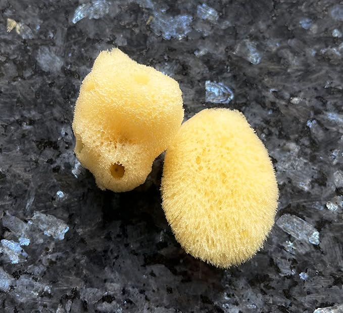 Real Natural Sea Sponges Multipack - 5pc Spa Gift Set in Premium Bag, Kind on Skin, for Bath Shower Facial Cleansing, Pamper Moms Brides Girlfriends & Teens by Constantia Beauty®