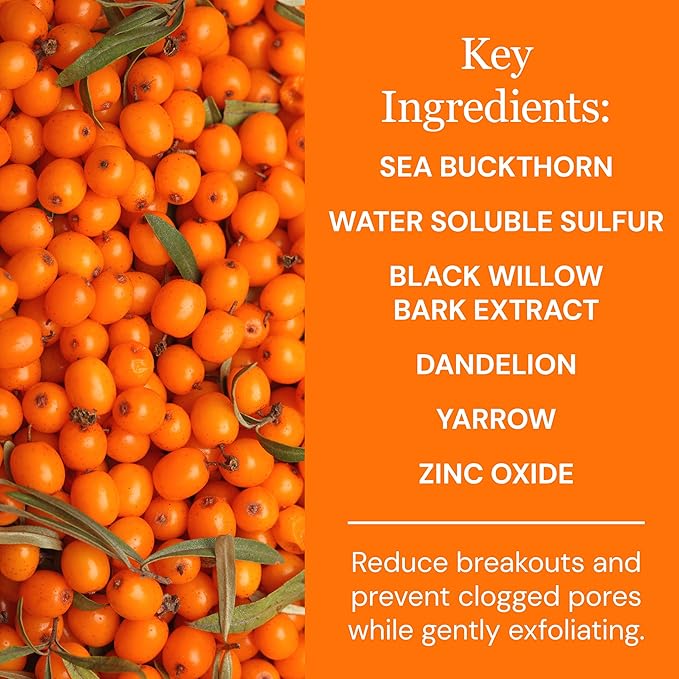 Sea Buckthorn Healing Lotion, 4oz – Soothing Moisturizer with MSM, Black Willow Bark & Zinc Oxide – Organic, Vegan – Repairs Acne, Redness & Skin Irritation