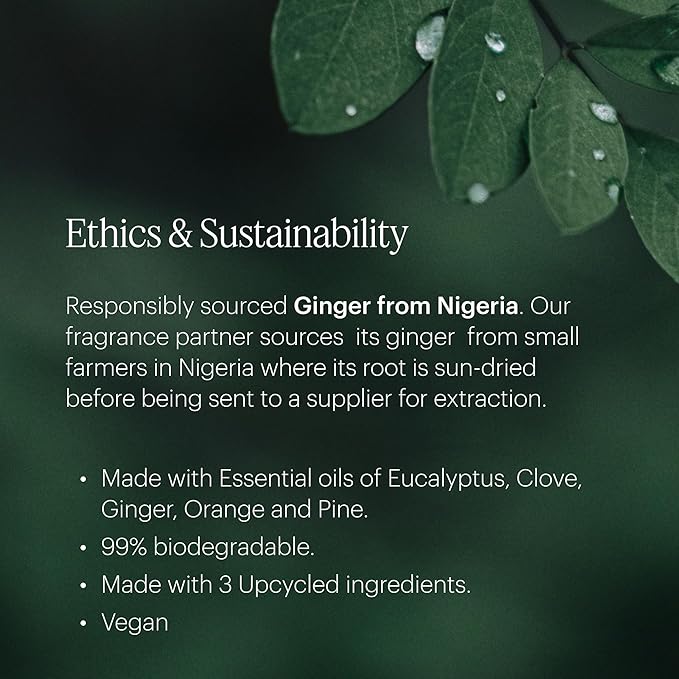 Aera Pumpkin Spice Home Fragrance Scent Refill - Notes of Pumpkin, Clove and Vanilla - Works with The Aera Diffuser - Limited Edition