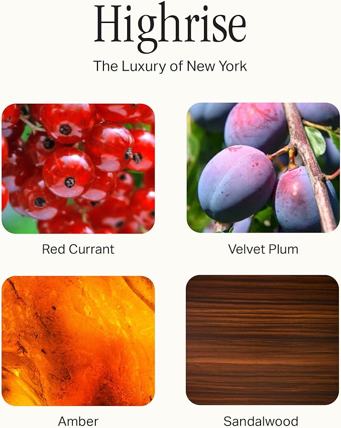 Preston Lane The Deluxe 3-Wick Candle, Scented Candle with Vegan, Soy Wax Blend, Highrise, 24 Oz