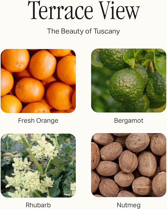 Preston Lane The Deluxe 3-Wick Candle, Scented Candle with Vegan, Soy Wax Blend, Terrace View, 24 Oz