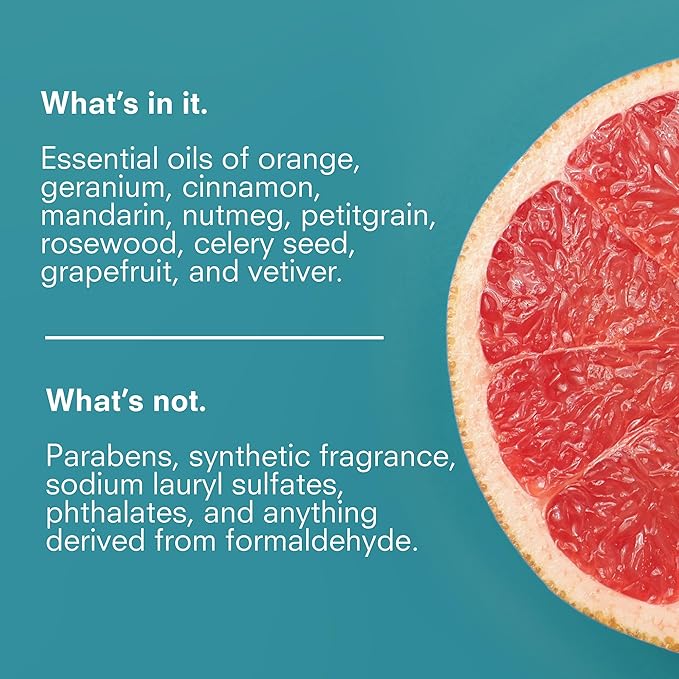 Public Goods Hand Soap | Cleansing Soap for Kitchen & Bathroom | Made with Natural Essential Oils | Paraben & Sulfate Free | Vegan Friendly | Made in Canada | 12 Fl Oz Bottle with Dispenser Pump