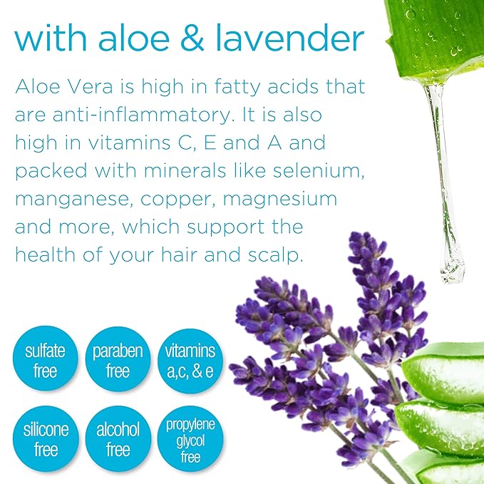 Rehydrating Mist Detangler Spray – Leave-In Conditioner with Aloe Vera for Dry, Curly, Coily, Matted or Damaged Hair – Moisturizing, Vegan Formula for Women, Men & Kids – 8 fl oz