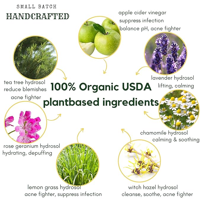 Apple Cider Vinegar Acne Face Wipes-Organic TeaTree, Rose, Chamomile, Witch Hazel.Oil free. Reduce Blemish & Acne. Tone,Restore, Sooth, Balance pH. Dry, Normal, Sensitive Skin. 25ct. USA Hello Cider