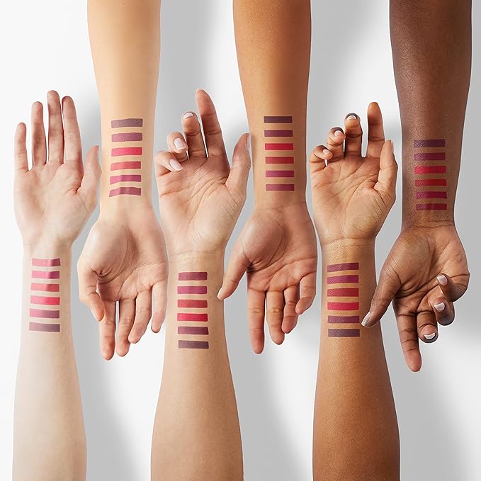 evpct 6Pcs Liquid Matte Lipstick Lipgloss Set for Women Dark Deep Bright Ruby Blood Brick Plum Mauve Rose Red labiales mate 24 horas originale matte larga duracion 24 Hour Lipstick Long Lasting