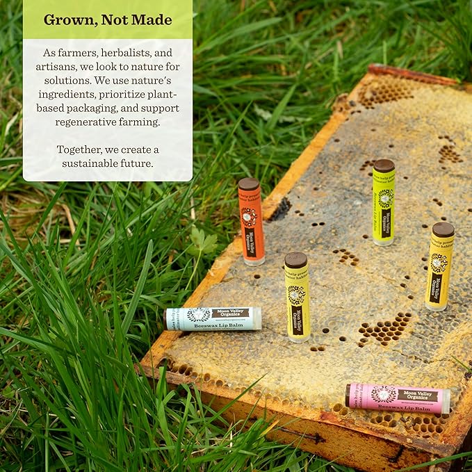 Moon Valley Organics Beeswax Lip Balm for Moisturizing Lips and Cuticles (TROPICAL COCONUT LIME, 4 Count (Pack of 1))