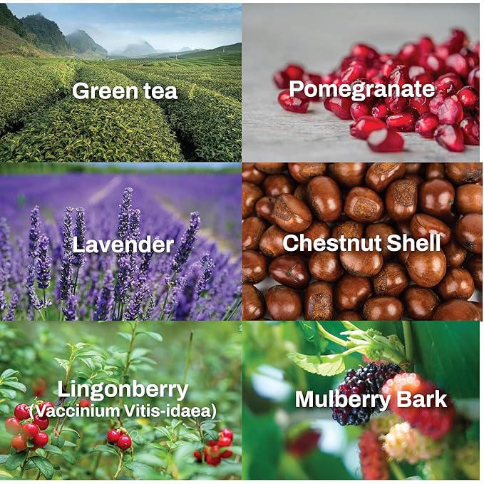 Pore Control Cleansing Gel Foam - Korean Skincare Gel to Foam Cleanser with Green Tea, Chestnut Shell, and Botanical Complex for Pore Care, Sebum Balance and Makeup Removal, 155ml / 5.24 fl.oz.