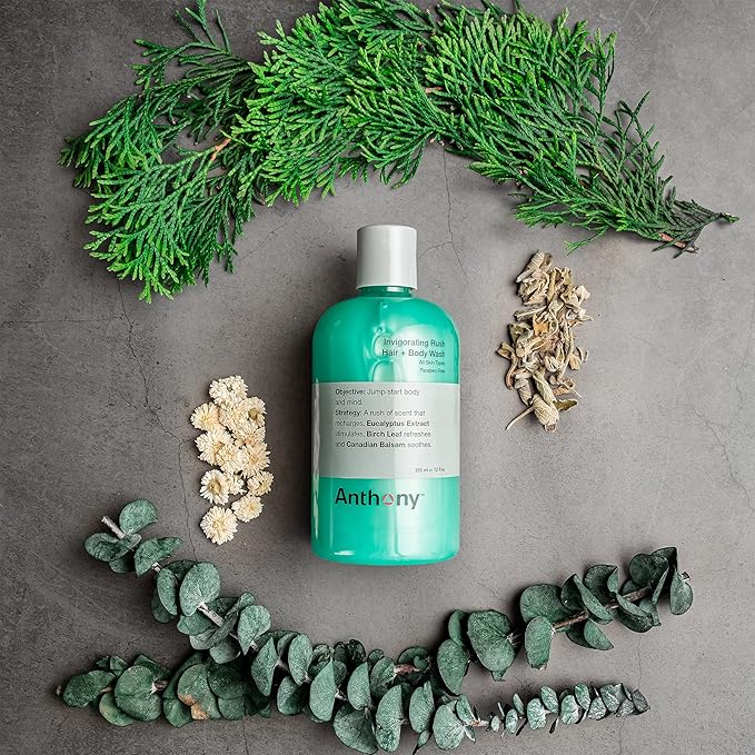Anthony Mens Body Wash and Shampoo: Invigorating Rush 2-In-1 Liquid Gel Soap & Hair Shampoo, Pine Wood Scent, Hydrating with Eucalyptus, Canadian Balsam, Birch Leaf, Charcoal, Sea Kelp, 12 Fl. Oz