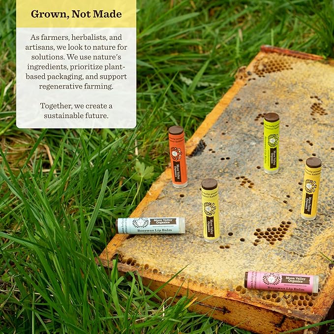 Moon Valley Organics Beeswax Lip Balm for Moisturizing Lips and Cuticles (Vanilla | Lime | Honey | Blackberry | Mint Vanilla, 5-Pack)