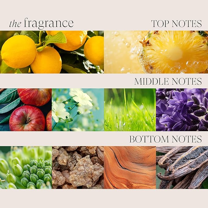 L'ANZA Healing Colorcare Shampoo, Color-Safe Repairing Cleanse for Dry, Damaged or Treated Hair, Anti-Fade Formula Smooths, Moisturizes, Adds Vibrance & Shine, Sulfate Free (10.1 Fl Oz)