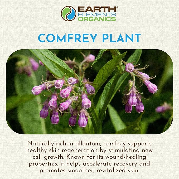 Comfrey Oil Raw with Sunflower Oil, Infused, Pressed Herbal Remedy, Support for Bruises, Sore Muscles, and Healthy Skin, Organic Skincare for All Skin Types - 4 fl oz