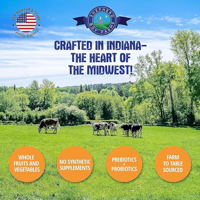 Freeze Dried Raw Dog Food, Beef Recipe, All Natural, No Synthetics, Made in USA with Goat's Milk & Organic Produce, High Protein, Complete Meal (48oz)